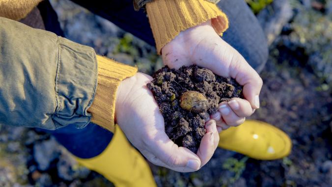 Sewage Sludge Safe to use in Biogas and Fertilizer Production According to Study