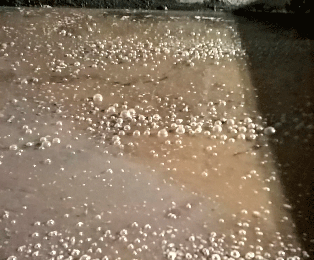 bubbles