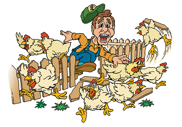 chick-10x7.5-(1)